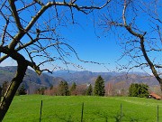 20 Stalle Aral (1000 m)